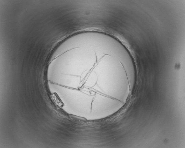 X0000116810201201001291608
