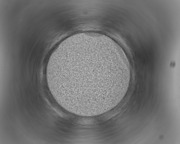 X0000116810202201001291608
