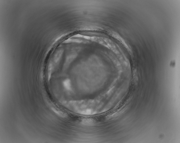 X0000116810203201001291608