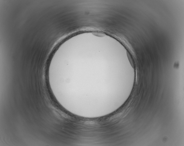 X0000116810204201001291608