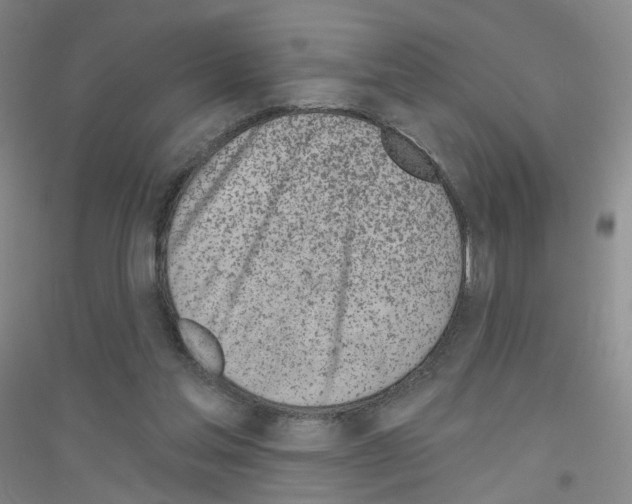 X0000116810205201001291608