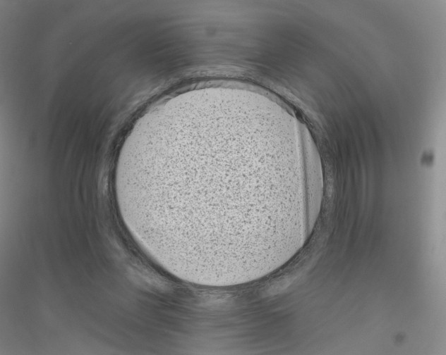 X0000116810206201001291608