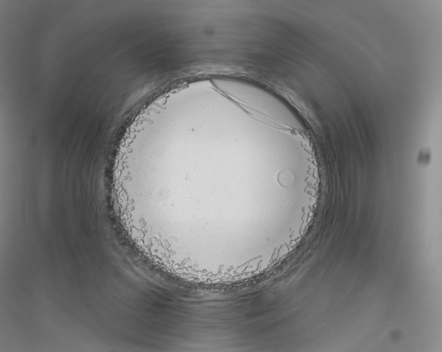 X0000116810207201001291608