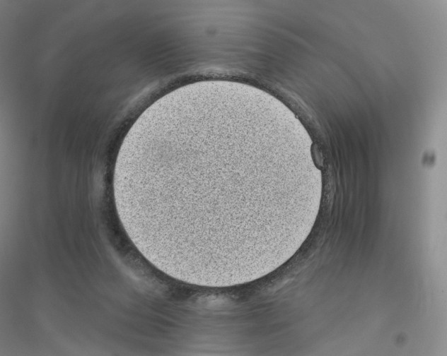 X0000116810208201001291608