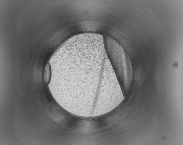 X0000116810209201001291608
