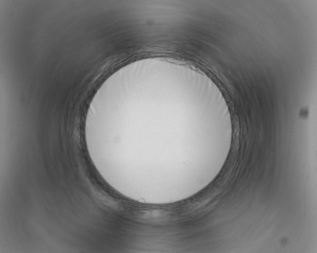 X0000116810212201001291608