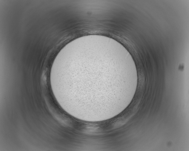 X0000116810214201001291608