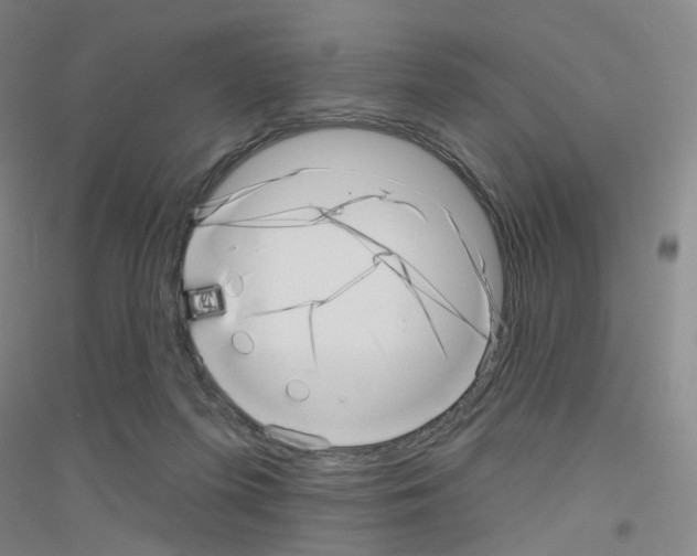 X0000116810215201001291608