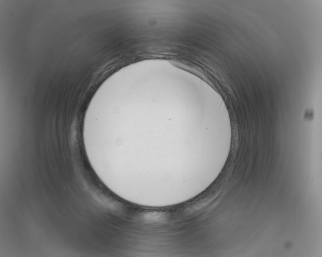 X0000116810216201001291608