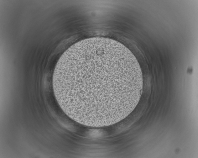 X0000116810218201001291608