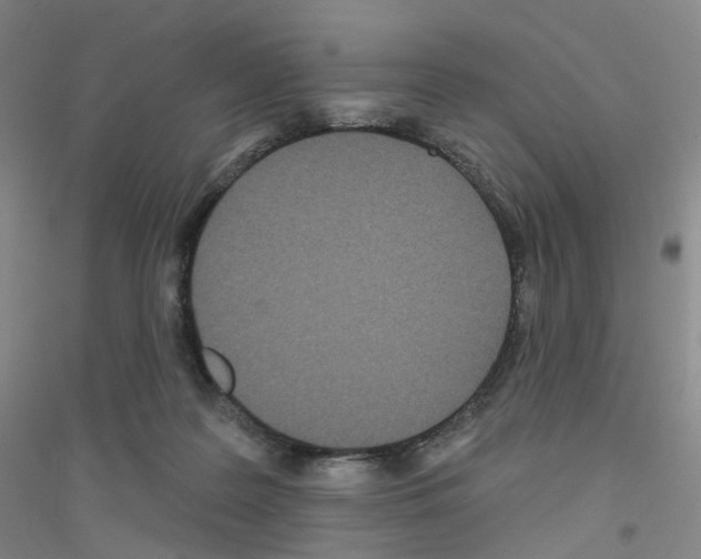 X0000116810219201001291608