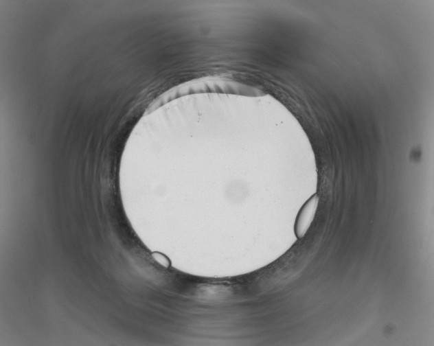 X0000116810220201001291608