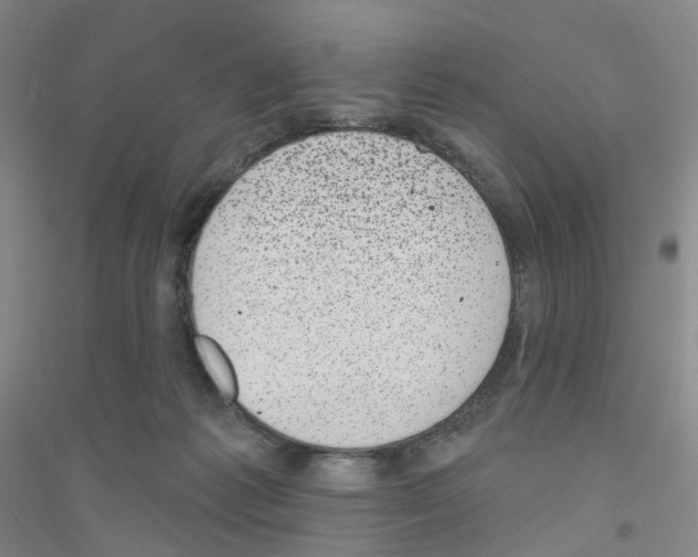 X0000116810221201001291608