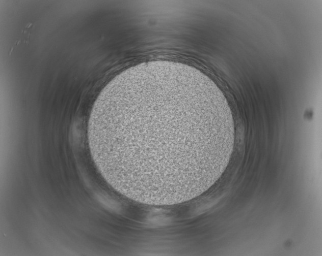 X0000116810222201001291608