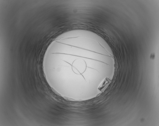 X0000116810223201001291608
