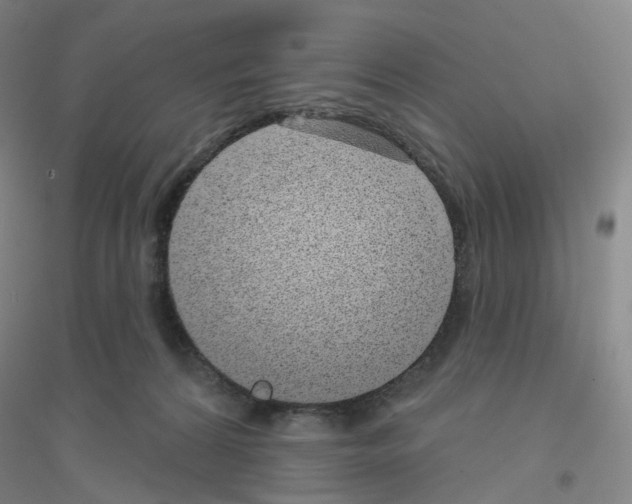 X0000116810224201001291608