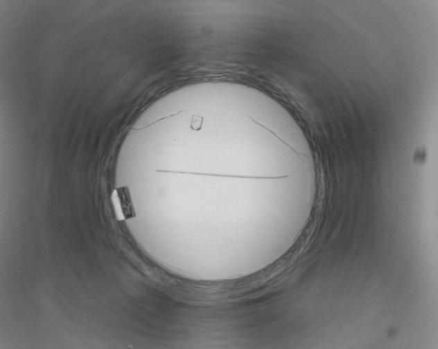 X0000116810225201001291608