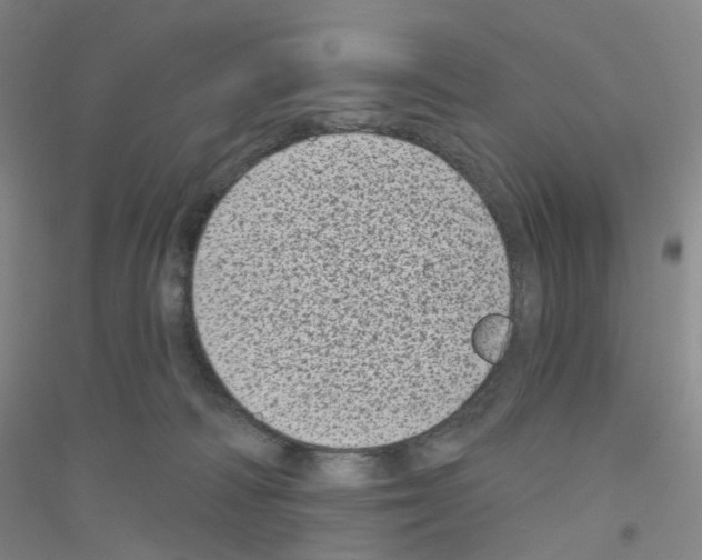 X0000116810226201001291608