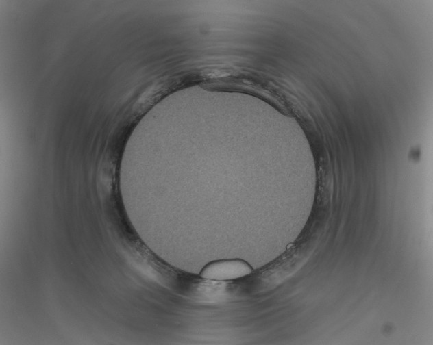 X0000116810227201001291608