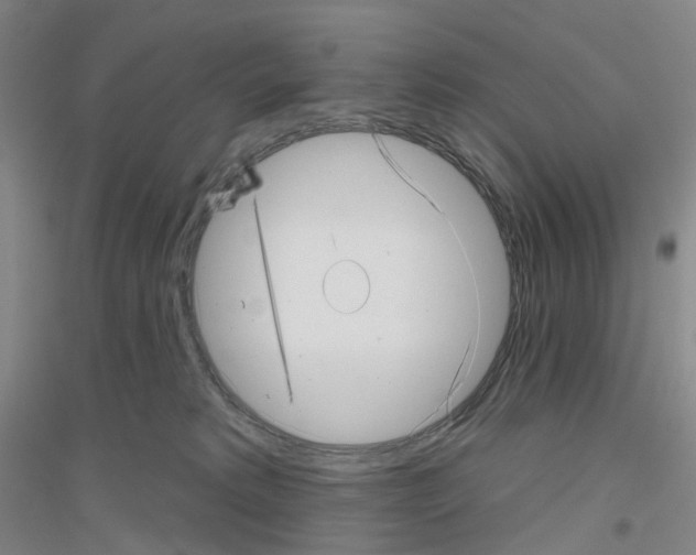 X0000116810229201001291608