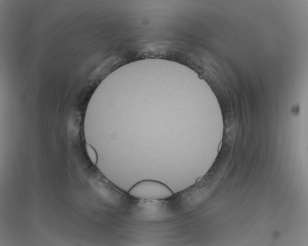 X0000116810231201001291608