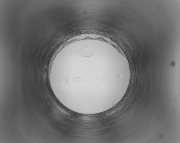 X0000116810232201001291608