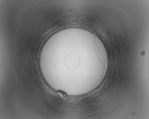 X0000116810233201001291608