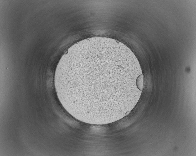 X0000116810234201001291608