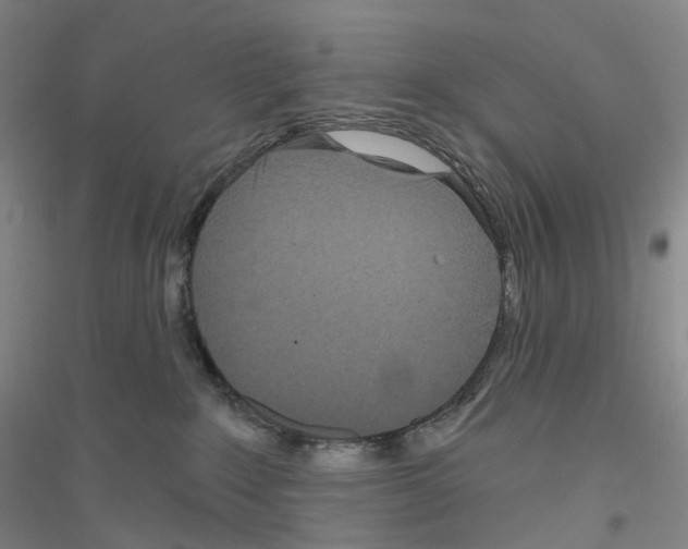 X0000116810235201001291608