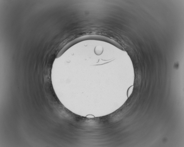 X0000116810236201001291608