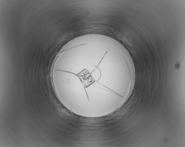 X0000116810237201001291608