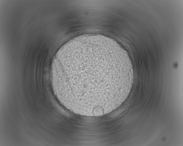 X0000116810238201001291608