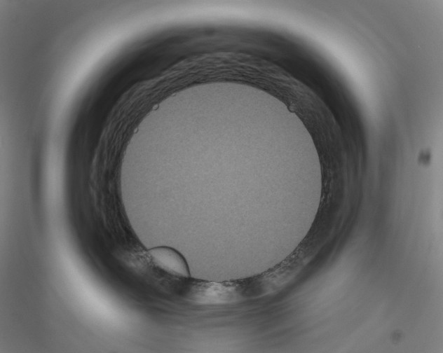 X0000116810239201001291608