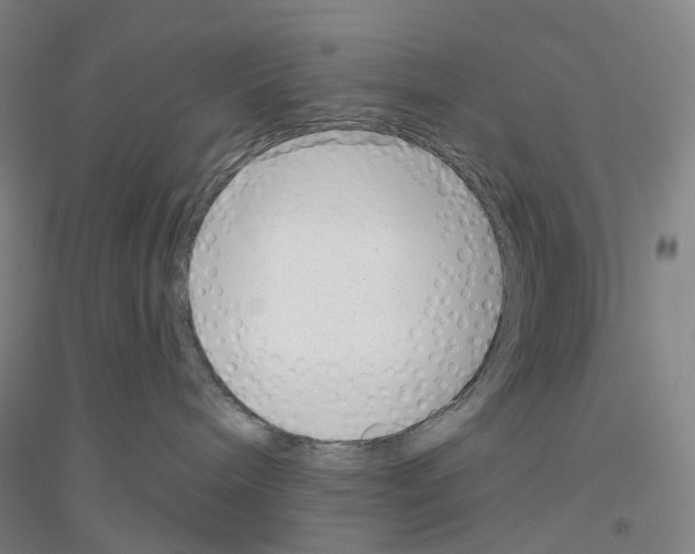 X0000116810240201001291608