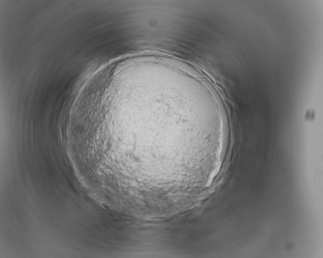 X0000116810241201001291607