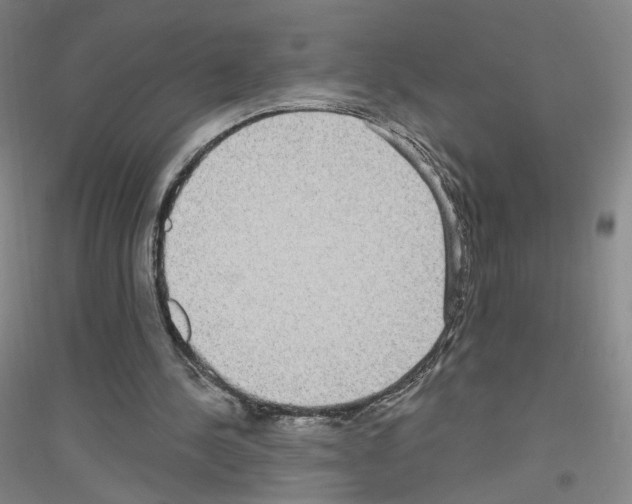 X0000116810244201001291607