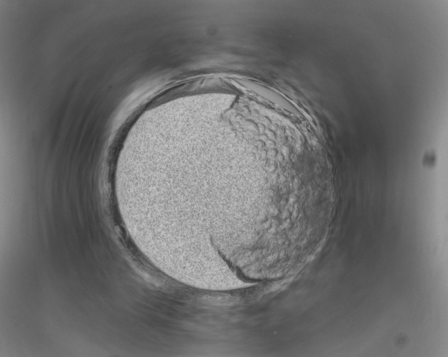 X0000116810245201001291607