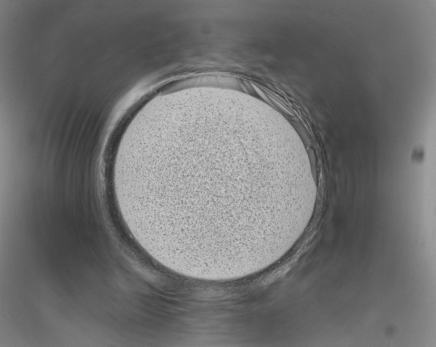 X0000116810246201001291607