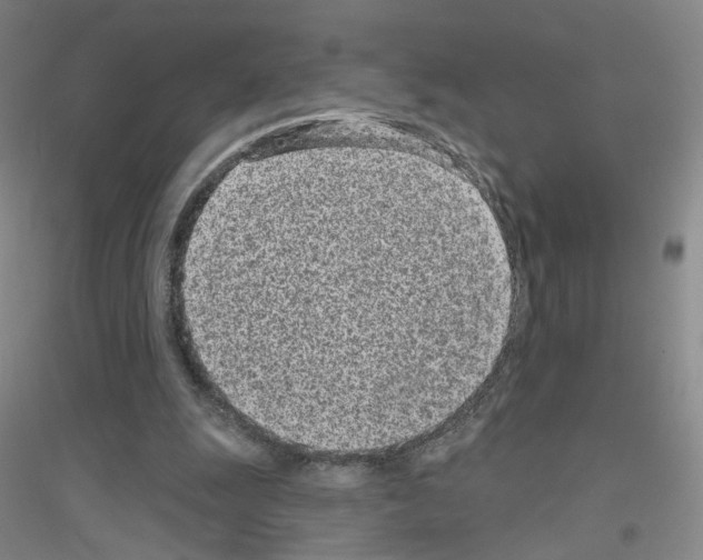 X0000116810247201001291607