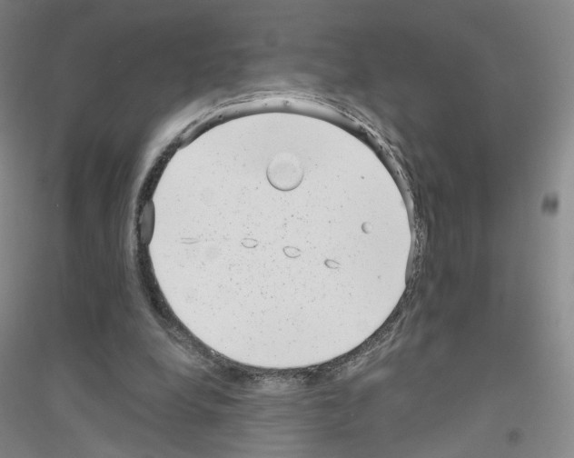 X0000116810248201001291607