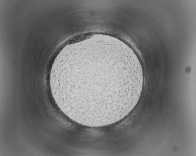 X0000116810249201001291607