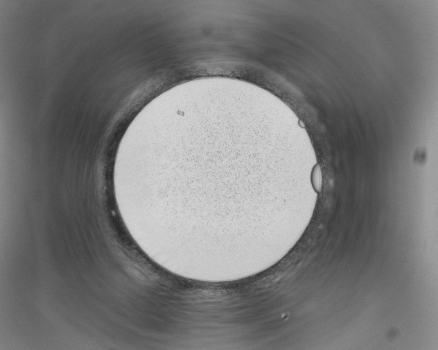 X0000116810250201001291607