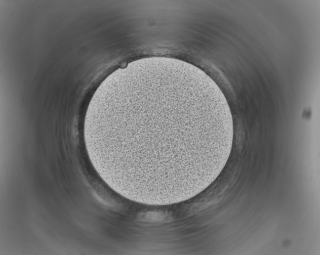 X0000116810251201001291607