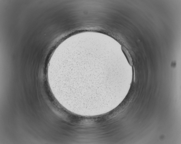 X0000116810252201001291607