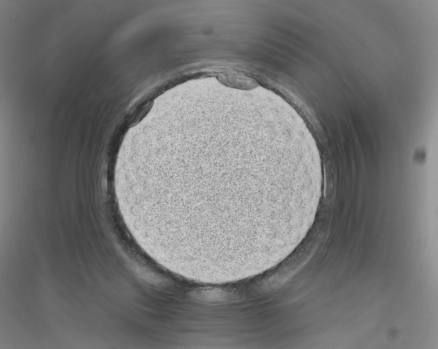 X0000116810253201001291607