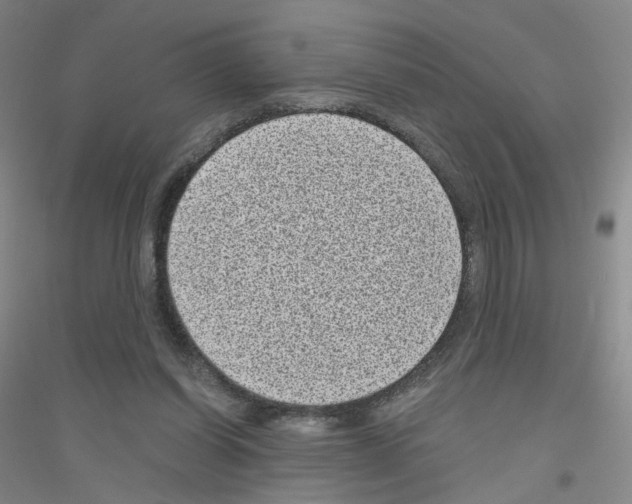 X0000116810254201001291607