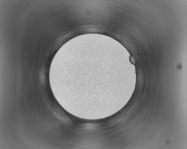X0000116810255201001291607