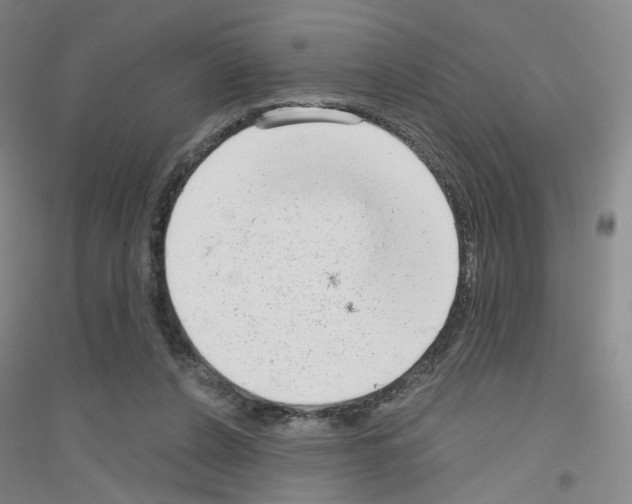 X0000116810256201001291607