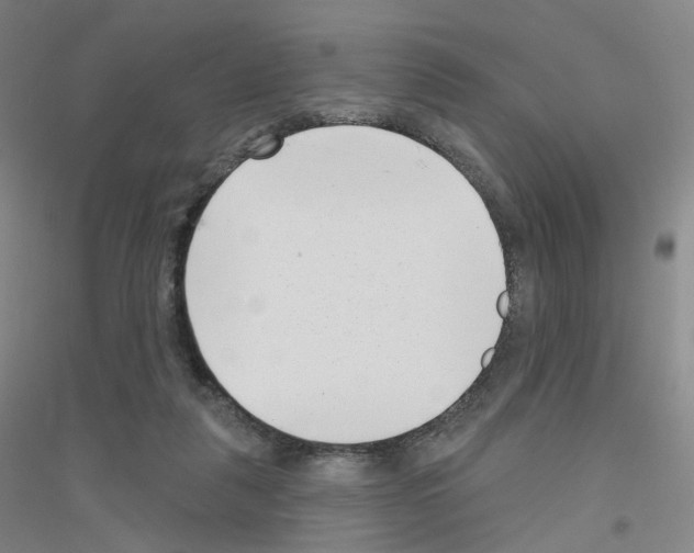 X0000116810259201001291607