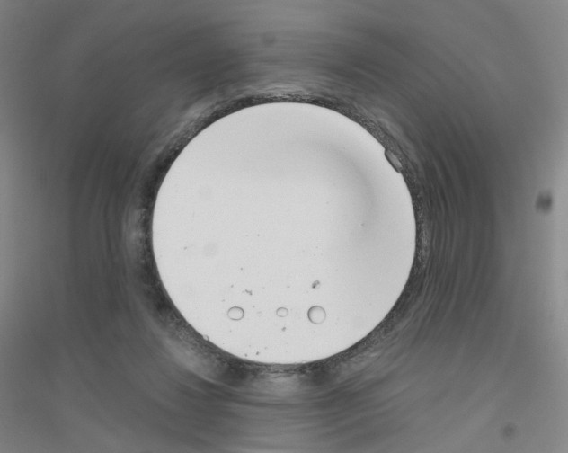 X0000116810260201001291607